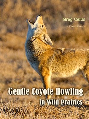 cover image of Gentle Coyote Howling in Wild Prairies